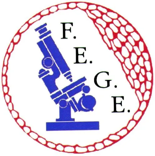 F.e.g.e. est une marque déposée par GENES DIFFUSION SAS (SFAN ISIMER)