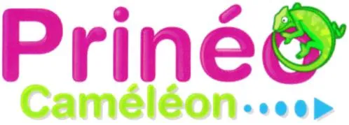 Prineo Cameleon… est une marque déposée par DOCUMENT MEDIA SYSTEME