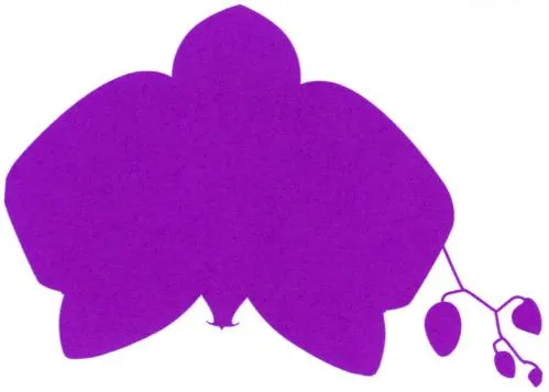  est une marque déposée par ORCHIDS INNOVATION