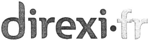 Direxi.fr est une marque déposée par DIREXI