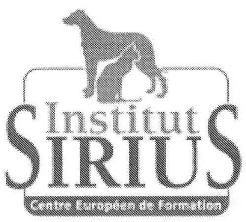 Institut Sirius Centre Européen De Formation est une marque déposée par CENTRE EUROPEEN DE FORMATION (EDIT ATLAS FORMATION-FORMATION EDIT ATLA)