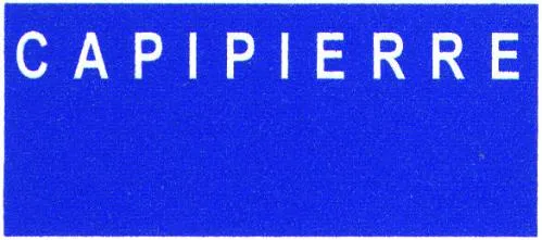 Capipierre est une marque déposée par PAREF GESTION