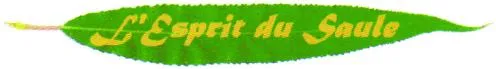 L'esprit Du Saule est une marque déposée par GATELCHOL.COM (L'ESPRIT SAULE LE CARNET A SPIRALE)