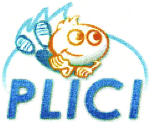 Plici est une marque déposée par SIMPLICIWEB