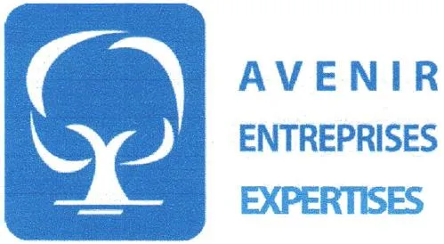 Avenir Entreprises Expertises est une marque déposée par ORCOM NANTES