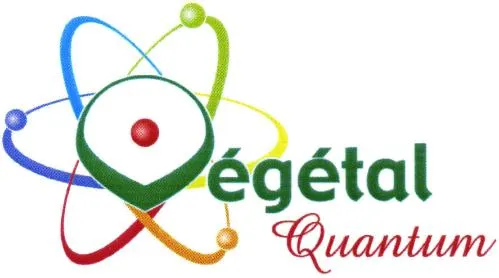 Vegetal Quantum est une marque déposée par SOINS SANTE BONSAI DIFFUSION (SSB DIFFUSION)