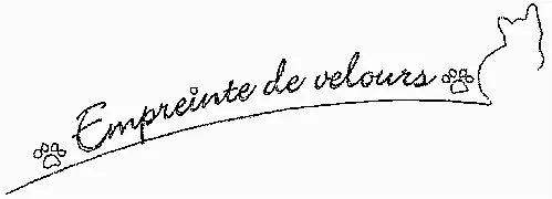 Empreinte De Velours est une marque déposée par CREATION AZURITE