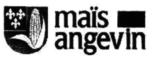 Maïs Angevin est une marque déposée par LIMAGRAIN EUROPE