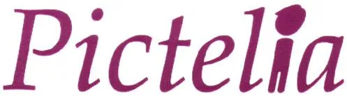 Pictelia est une marque déposée par REALISATION DEVELOPPEMENT INFORMATIQUE + (RDI+)