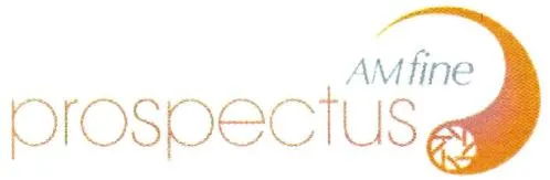 Am Fine Prospectus est une marque déposée par AMFINE SERVICES AND SOFTWARE