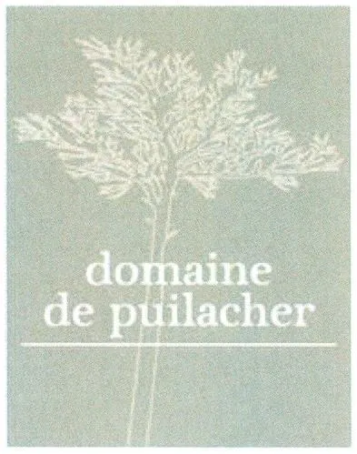 Domaine De Puilacher est une marque déposée par SCEA DU DOMAINE DE PUILACHER