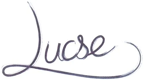 Lucse est une marque déposée par IN CORP SOLUTIONS (LUCSE)