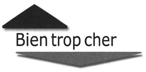 Bien Trop Cher est une marque déposée par IFAZ