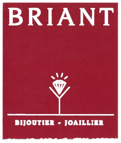 Briant Bijoutier – Joaillier est une marque déposée par PAUCOT