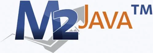 M2Java est une marque déposée par NETFECTIVE TECHNOLOGY SAS