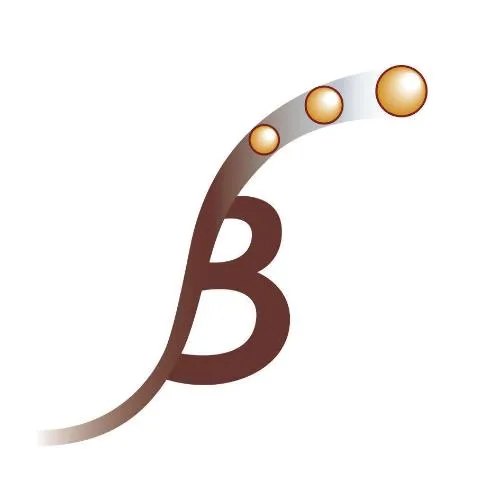 B est une marque déposée par METABRAIN RESEARCH