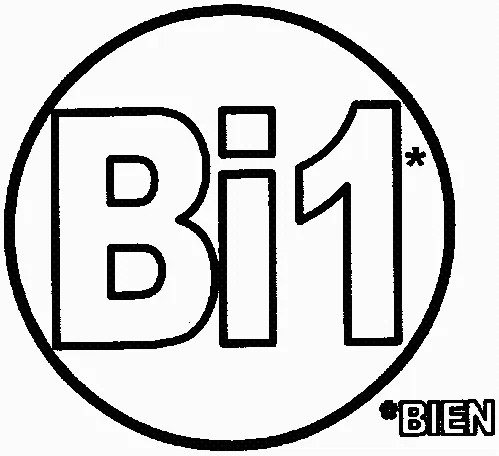 Bi1 Bien est une marque déposée par SCHIEVER DISTRIBUTION