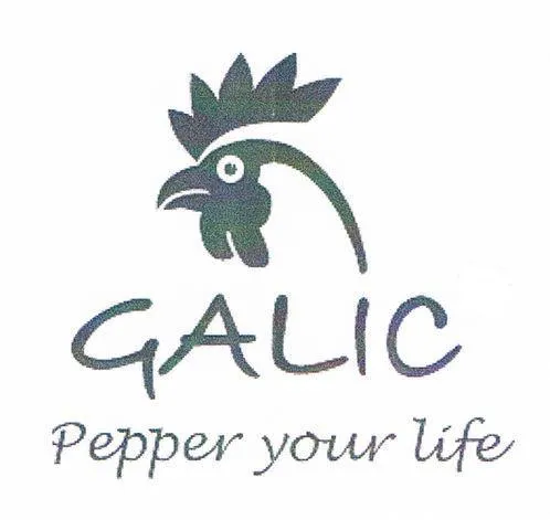 Galic Pepper Your Life est une marque déposée par PEUGEOT SAVEURS