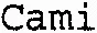 Cami est une marque déposée par MISTRAL INFORMATIQUE (MISTRAL)