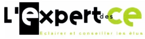 L'expert Des Ce Eclairer Et Conseiller Les Elus est une marque déposée par ARSYA CONSEIL