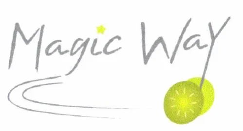 Magic Way est une marque déposée par MAGIC WAY (MAGIC WAY)