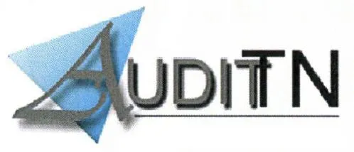 Audittn est une marque déposée par AUDITN (AUDIT TN CABINET THIERRY NOEL AUDIT TOULOUSE NORD CABINET AUDIT TN AUD)