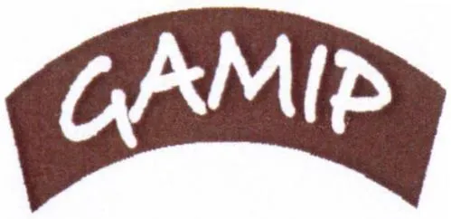 Gamip est une marque déposée par COMPLET