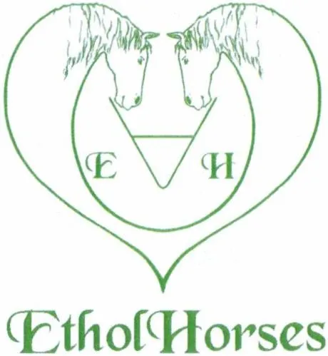 E H Etholhorses est une marque déposée par SIMONET NICOLAS