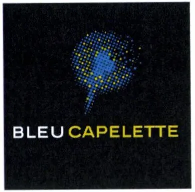 Bleucapelette est une marque déposée par SCI CAP EST LOISIRS