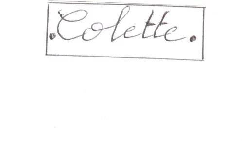 Colette est une marque déposée par NET.LIVE (N.L)