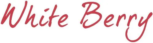 White Berry est une marque déposée par INTERNATION NEW CREATIVE CONCEPT (INCC)