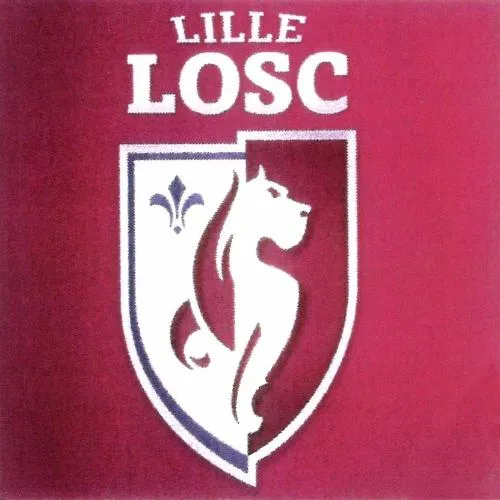 Lille Losc est une marque déposée par LOSC LILLE