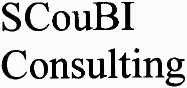 Scoubi Consulting est une marque déposée par SCOUBI CONSULTING