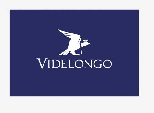 Videlongo est une marque déposée par BURBLE CONSULTING