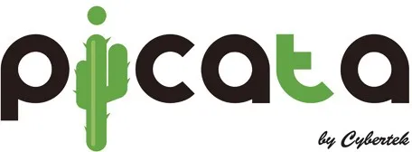 Picata By Cybertek est une marque déposée par GROUPE CYBERTEK
