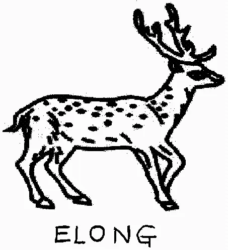 Elong est une marque déposée par CCF DIFFUSION