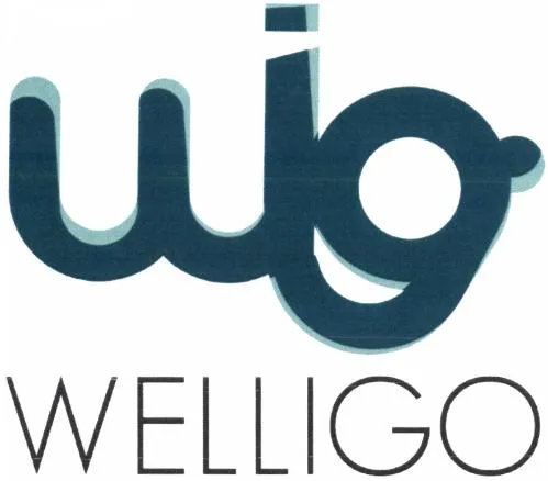 Welligo est une marque déposée par SCENARII & STRATEGIES