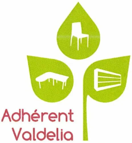 Adherent Valdelia est une marque déposée par VALDELIA