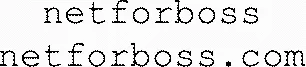Netforboss Netforboss.com est une marque déposée par NETFORBOSS (NFB)