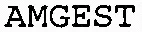 Amgest est une marque déposée par AMPLEGEST