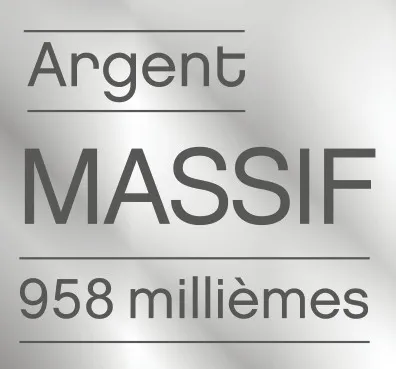 Argent Massif 958 Milliemes est une marque déposée par DEVINLEC DEVELOP INNOVATION LECLERC (BIJOUX)