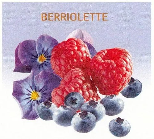 Berriolette est une marque déposée par CAP'FRUIT