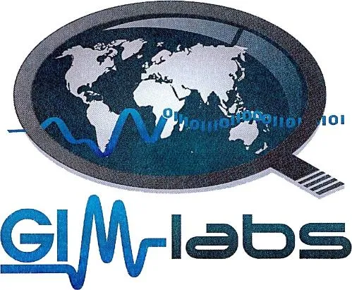 Gim Labs est une marque déposée par GEOPHYSICAL INVERSION & MODELING LABS