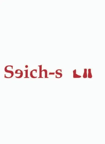 Seich-S est une marque déposée par GLOBAL PRINT PAPERS (GPP)