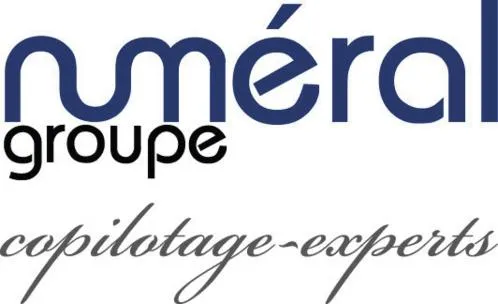 Numeral Groupe Copilotage-Experts est une marque déposée par SECIF AUDIT