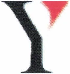 Y est une marque déposée par YZICO
