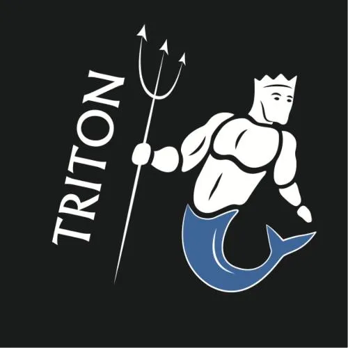 Triton est une marque déposée par MULTI SAFETY SUPPORT SYSTEM