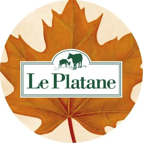 Le Platane est une marque déposée par FROMAGERIES LESCURE