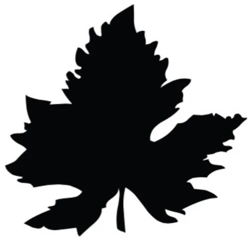  est une marque déposée par SAS BARREAU