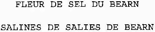Fleur De Sel Du Bearn Salines De Salies De Bearn est une marque déposée par STE D'EXPLOITATION DES SALINES DE SALIES DE BEARN